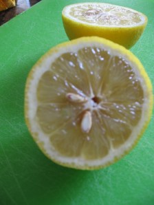 Halved Lemon