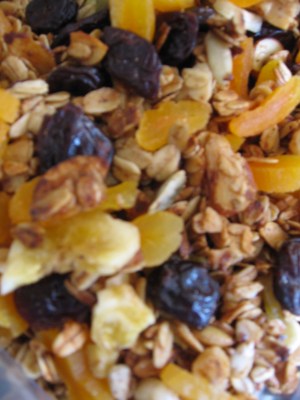 Toasted Granola with Dried Fruit Toasted Granola with Dried Fruit