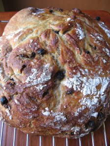 Straight from the Oven