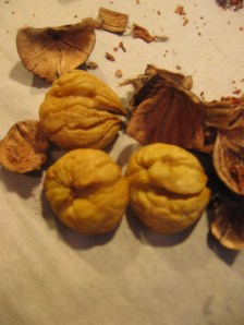 Shelled Chestnuts