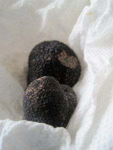Black Truffles