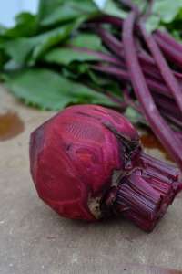 Beet