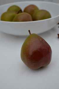 Seckel Pear 2