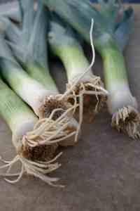 Leeks