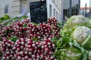 Radishes and Cauliflower - Marche d'Aligre