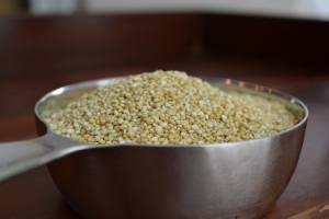 Dried Quinoa in measuring cup