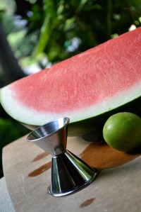 Watermelon, Jigger, and Lime