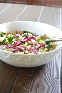 Farro, Basil-Parmesan Dressing, Zucchini and Red Onion