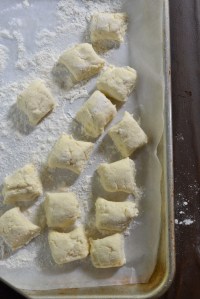 Gnudi dumplings - ready to cook