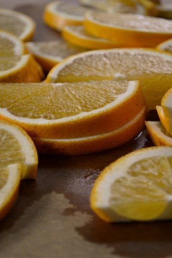Orange Slices 2