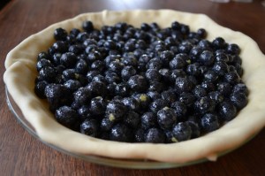 Blueberries in the Crust