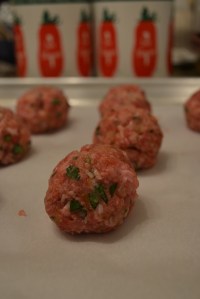 Meatball Close-up