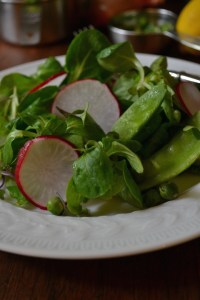 Close-up with Radishes and Peas