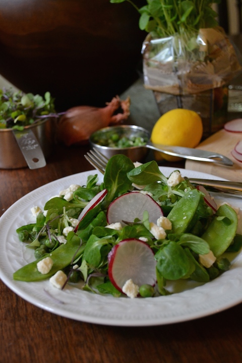 Salad with Feta and Ingredients