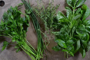 Herbs from the Garden