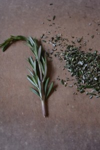 Rosemary Sprig