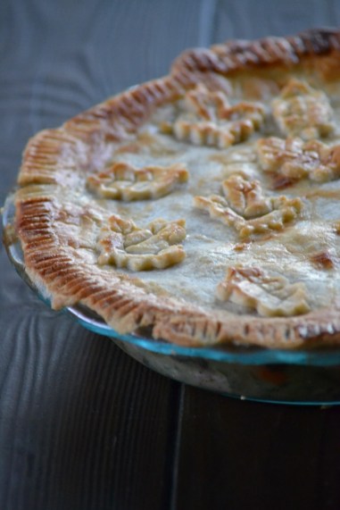 Turkey Pot Pie Side View