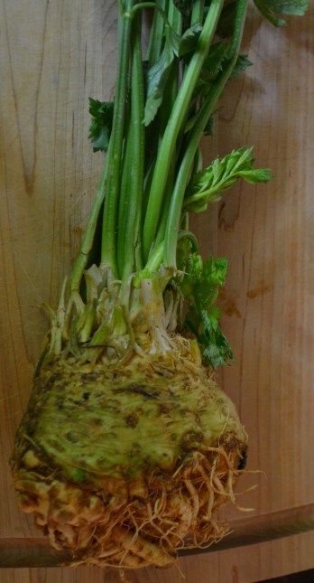 Celery Root (www.mincedblog.com)